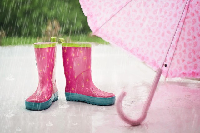 Météo Tarbes. pluies, averses et orages au menu samedi