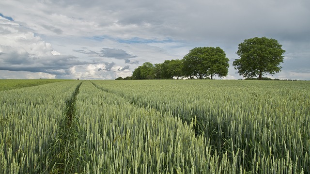 &eacute;pandages agricoles. les citoyens des Hautes Pyr&eacute;n&eacute;es invit&eacute;s &agrave; s'exprimer