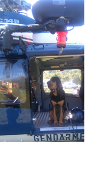 Un chien au flair afuté a été utilisé par les gendarmes pour retrouver la trace de l'homme disparu. Crédit Photo Facebook-préfecture des Hautes Pyrénées