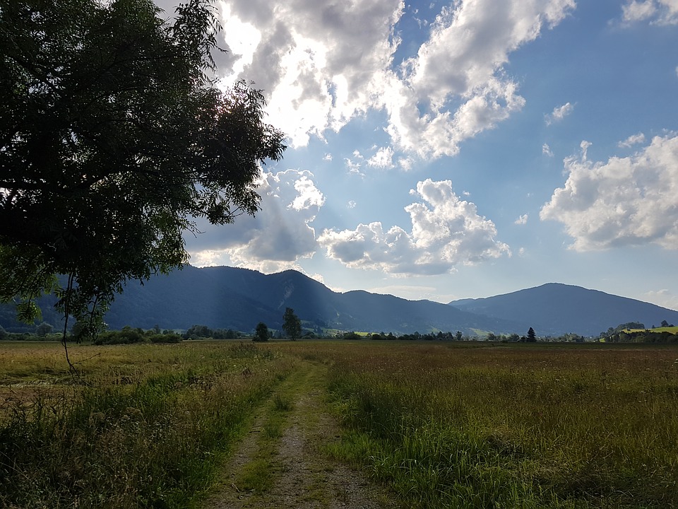 meteo-tarbes-grand-soleil-vendredi-et-samedi-pluies-dimanche