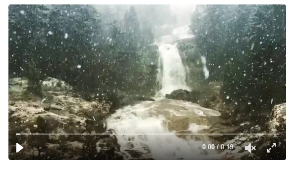 Buzz. la neige au Pont d'Espagne