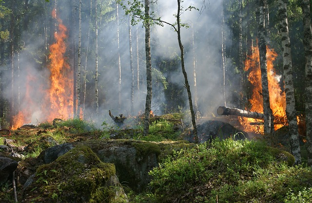 &eacute;cobuages interdits dans les Hautes Pyr&eacute;n&eacute;es