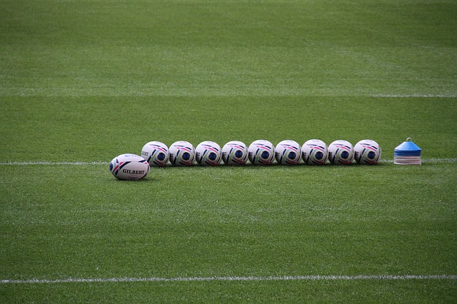 Le Tarbes Pyr&eacute;n&eacute;es Rugby fait chuter Provence Rugby