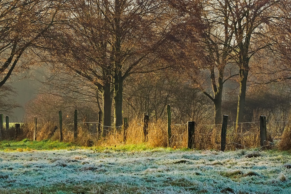 M&eacute;t&eacute;o Tarbes. soleil et 13 degr&eacute;s samedi apr&egrave;s midi