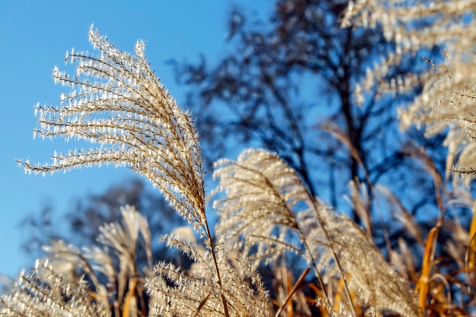 Pollution aux particules fines ce jeudi &agrave; Tarbes