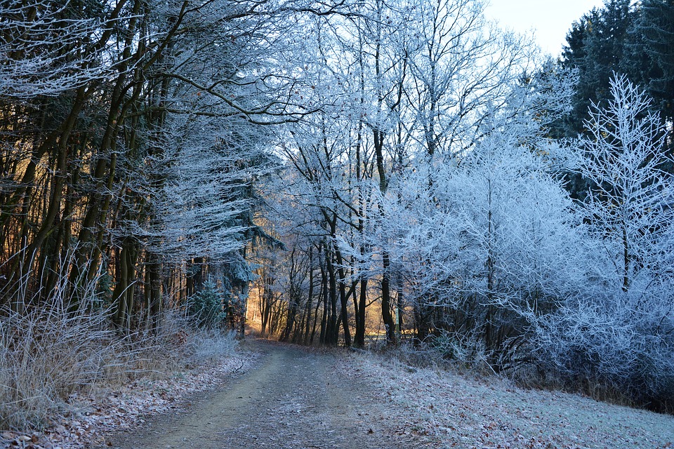 Météo Tarbes. froid et soleil ce mardi