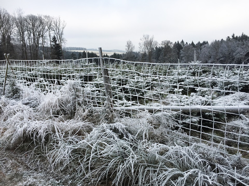 Météo Tarbes. froid intense et givre ce jeudi
