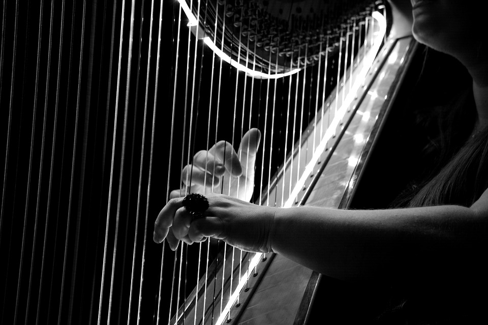Saint Saëns, Tchaikovsky, Mozart ou Gounod pour le concert du nouvel an à Tarbes
