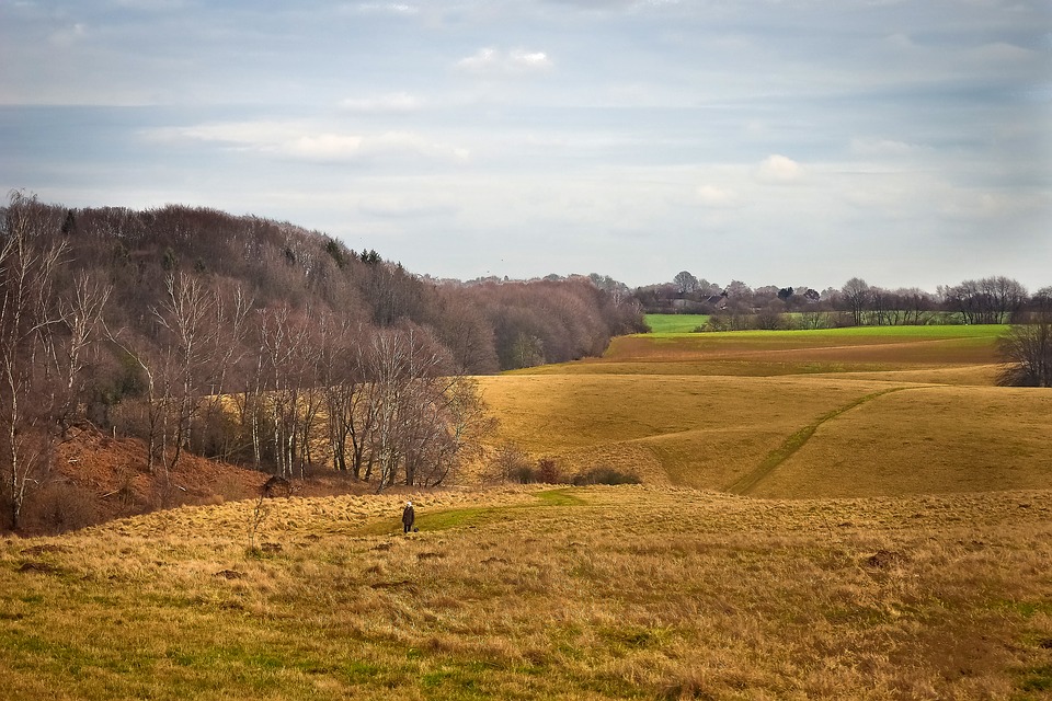 Météo Tarbes. soleil et 17 degrés lundi, pluies et baisse des températures mardi
