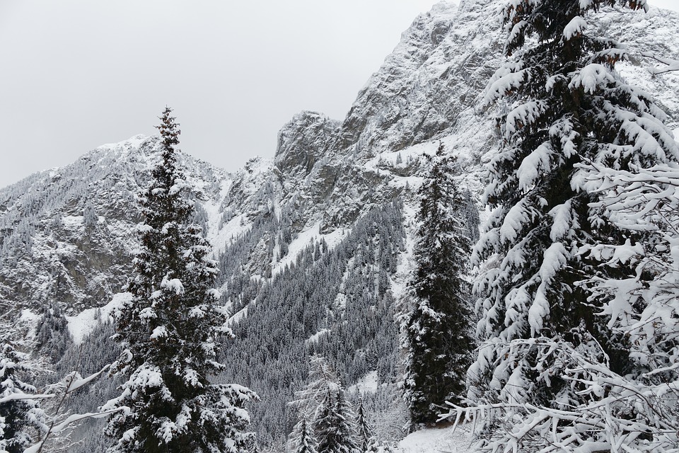 Neige sur les Pyr&eacute;n&eacute;es et risque d'avalanches
