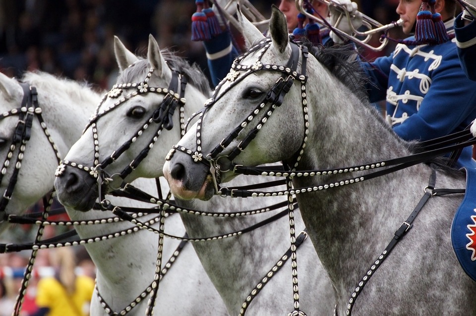 Equestria Tarbes 2017. ouverture mardi &agrave; 18h