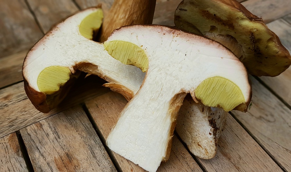 des cèpes en vente au marché de Tarbes