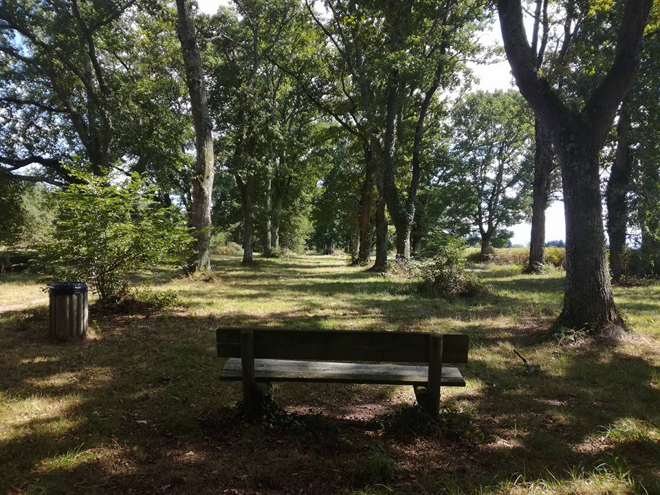 Bois du commandeur flore détente