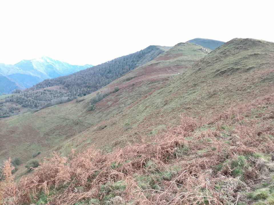 soum de Tr&eacute;z&egrave;res depuis Oust&eacute; - Vues sur Tarbes, Lourdes, Argeles sommet