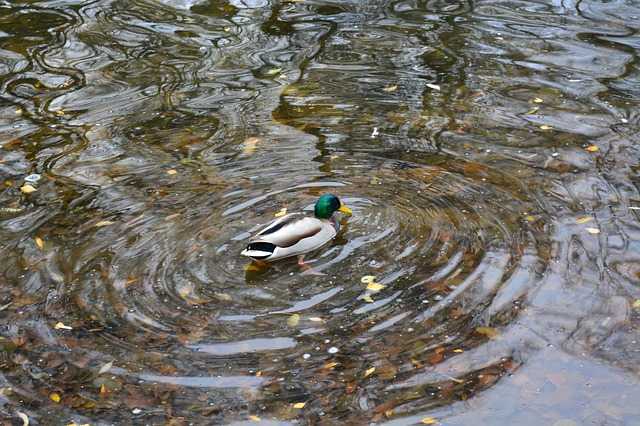 Météo Tarbes. après un week end agréable, retour du froid la semaine prochaine